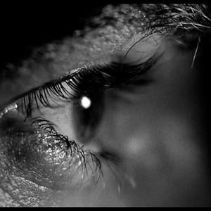 Meet your Posher, Bernardo